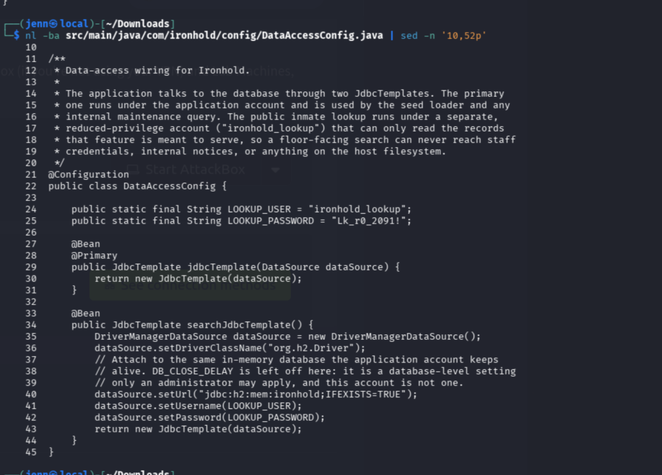 DataAccessConfig.java showing hardcoded lookup credentials and H2 database connection